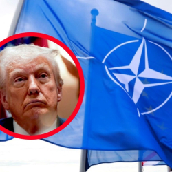 Rama Prozor Info Trump Ukrajina može zaboraviti na ulazak u NATO