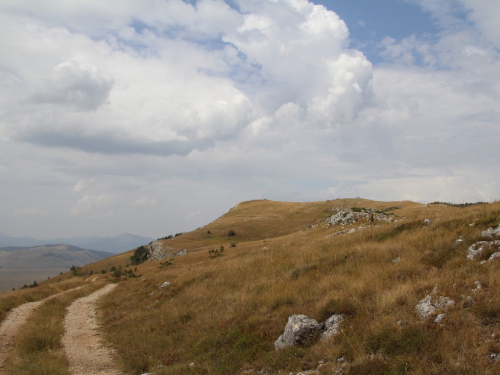 Ravašnica: Memorijal ''Marko i David Brajko''