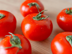 Dodajte 3 žličice ovog pripravka u vodu i rajčice će vam biti velike i zdrave!