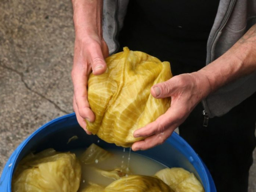 Presolili ste kupus? Jedno povrće rješava problem ako ga ubacite u bure