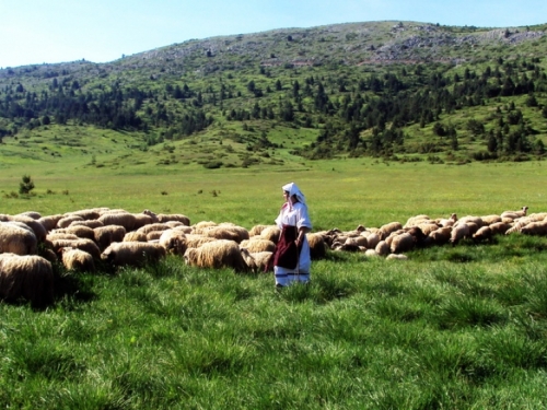 Promocija filma „Divin krik s Vrana“ u Prozoru