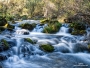 FOTO: Skrivene ramske prirodne ljepote - Lug