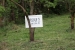 OGLAS: Prodaje se zemljište u Rumbocima