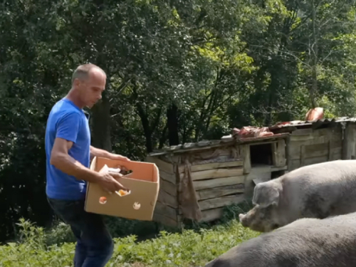 Ostavio grad i preselio se na selo: Proizvodi sve i nikad ne ide u trgovinu