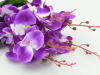 Pripremite mješavinu s češnjakom koja potiče cvjetanje orhideja