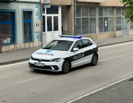 Policijsko izvješće za protekli tjedan (21.10.2024. - 28.10.2024.)