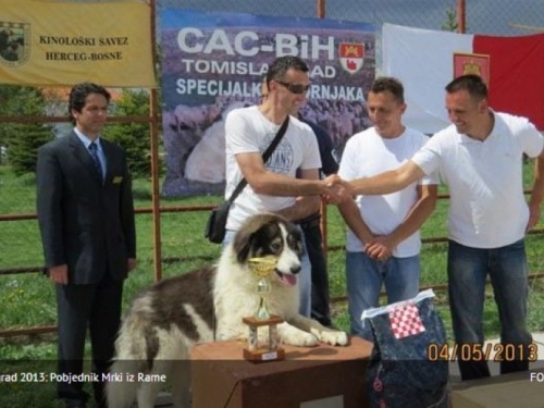 Mrki iz Rame najljepši tornjak na izložbi u Tomislavgradu