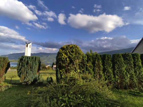 Upoznajte Šimuna Nikolića - Stručnjaka za uređenje Vaše okućnice i voćnjaka