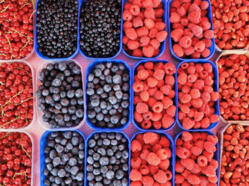 Cijene voća dostigle su cijenu mesa: Je li zdrava hrana privilegija bogatih?