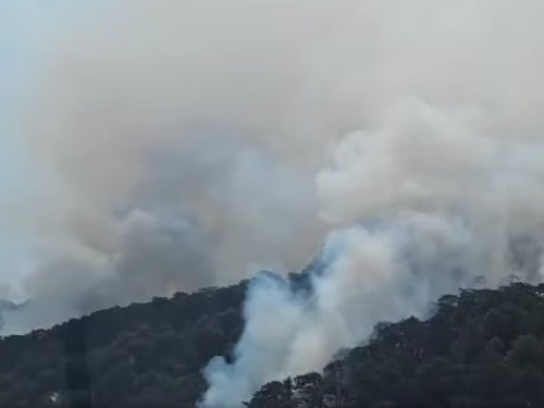 BiH zbog velikog požara traži pomoć Hrvatske, Srbije i Crne Gore